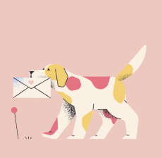 pet image