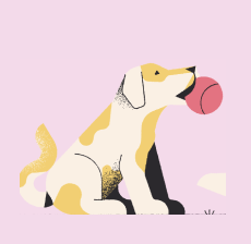pet image