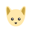 cat image