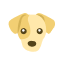 dog image